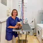 TOILETTAGE ESTHÉTI’CHIEN